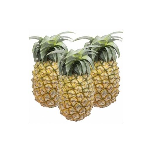 ふるさと納税 果物類 沖縄県 石垣市 先行予約 石垣島産パイナップル 島パイン・ハワイ種 約2.8kg(2〜4玉) | 沖縄県 石垣市 石垣島 南国 フルーツ 果物 季節限…