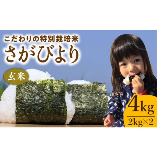 ふるさと納税 米 さがびより 佐賀県 江北町 2026年8月発送 さがびより ( 玄米 ) 4kg 北原農園 HCA003 2026年8月発送