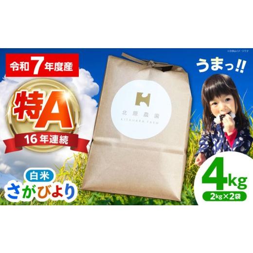 ふるさと納税 米 さがびより 佐賀県 江北町 2026年8月発送 さがびより ( 白米 ) 4kg 北原農園 HCA004 2026年8月発送