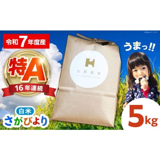 ふるさと納税 米 さがびより 佐賀県 江北町 2026年6月発送 さがびより 白米 5kg 北原農園 HCA022 / 特A米 特A評価 特別栽培米 特別栽培農産物 米 お米 特A …