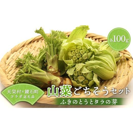 ふるさと納税 野菜類 山菜 福島県 天栄村 〈先行予約〉天栄村×鏡石町コラボ返礼品 山菜ごちそうセット ふきのとうとタラの芽（各100g） 山菜 野菜 食品 フキ…の画像