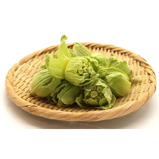 ふるさと納税 野菜類 山菜 福島県 天栄村 〈先行予約〉天栄村×鏡石町コラボ返礼品 山菜ごちそうセット ふきのとうとタラの芽（各100g） 山菜 野菜 食品 フキ…の画像