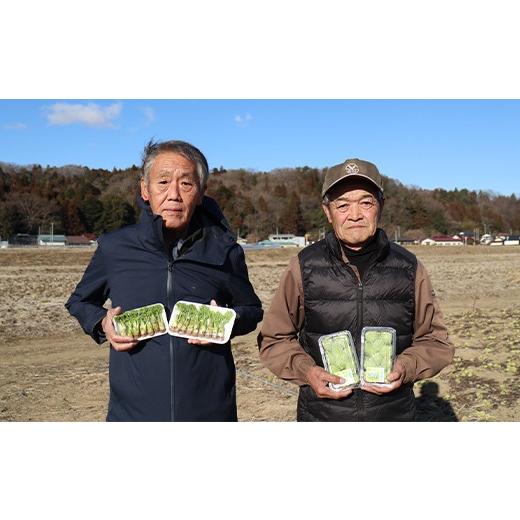 ふるさと納税 野菜類 山菜 福島県 天栄村 〈先行予約〉天栄村×鏡石町コラボ返礼品 山菜ごちそうセット ふきのとうとタラの芽（各100g） 山菜 野菜 食品 フキ…の画像