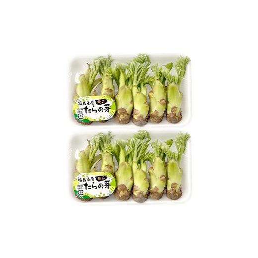 ふるさと納税 野菜類 山菜 福島県 鏡石町 〈先行予約〉鏡石町×天栄村コラボ返礼品 山菜ごちそうセット タラの芽とふきのとう（各100g）フキノトウ たらのめ …の画像