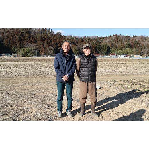 ふるさと納税 野菜類 山菜 福島県 鏡石町 〈先行予約〉鏡石町×天栄村コラボ返礼品 山菜ごちそうセット タラの芽とふきのとう（各100g）フキノトウ たらのめ …の画像