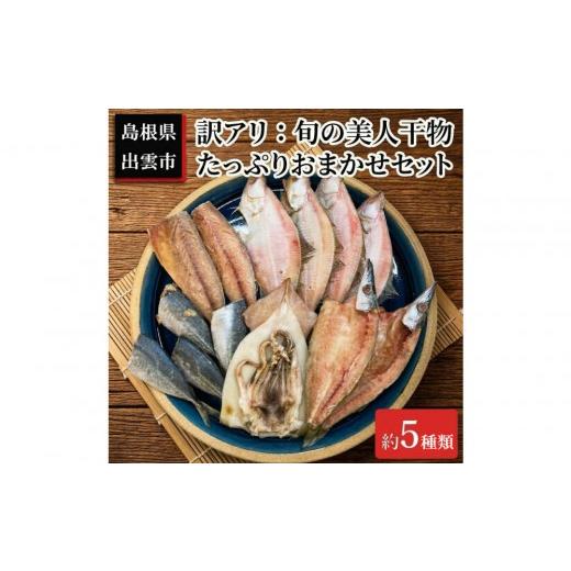 ふるさと納税 干物 アジ 島根県 出雲市 訳アリ:旬の美人干物 たっぷりおまかせセット5種類