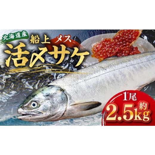 ふるさと納税 魚貝類 鮭 北海道 蘭越町 北海道産 船上活〆サケメス 約2.5kg 2026年9月上旬〜10月下旬まで発送予定 鮭 イクラ 卵 活〆 塩焼き 冷凍 旬 魚 魚類 …