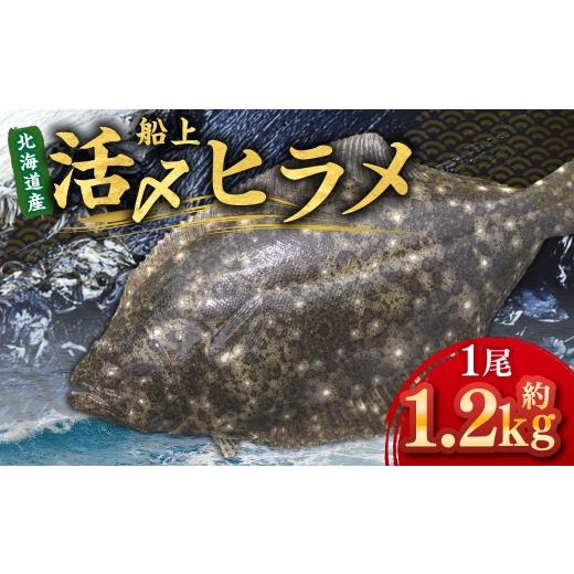 ふるさと納税 旬の鮮魚等 北海道 蘭越町 北海道産 船上活〆ヒラメ 約1.2kg 2026年5月上旬〜12月上旬まで発送予定 ヒラメ 刺身 熟成 活〆 昆布締め カルパッチ…
