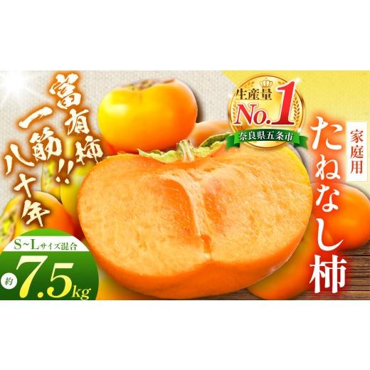 ふるさと納税 果物類 柿 奈良県 五條市 たねなし柿[家庭用] 約7.5kg(S〜Lサイズ混載) | 先行予約 大人気 人気 たねなし 柿 かき フルーツ 果物 辰巳果樹園…