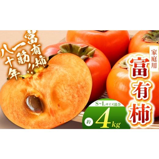 ふるさと納税 果物類 柿 奈良県 五條市 富有柿[家庭用] 約4kg(S〜Lサイズ混載) | 先行予約 大人気 人気 富有 柿 かき フルーツ 果物 辰巳果樹園 ギフト お…