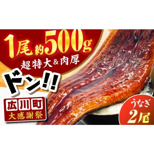 ふるさと納税 うなぎ 福岡県 広川町 新登場&大感謝祭 1尾約500g 超特大うなぎ蒲焼×2尾 広川町 / 株式会社イールファクトリー AFBS032 大感謝祭対象品 約1…