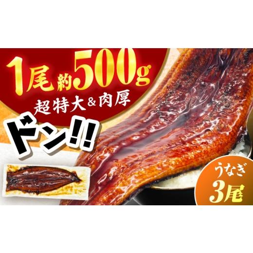 ふるさと納税 うなぎ 福岡県 広川町 新登場 1尾約500g 超特大うなぎ蒲焼×3尾 広川町 / 株式会社イールファクトリー AFBS033 約1.5kg(約500g×3尾)