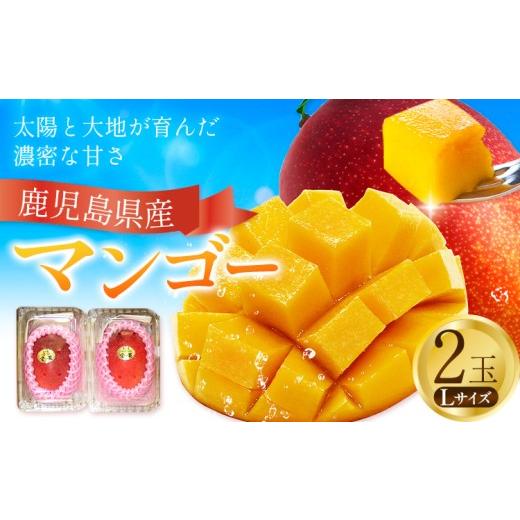 ふるさと納税 マンゴー 鹿児島県 さつま町 鹿児島県産 マンゴー パック入り 2玉 Lサイズ 計約630g よしたか農園[5月上旬‐5月下旬頃出荷]鹿児島県 さつま町 …
