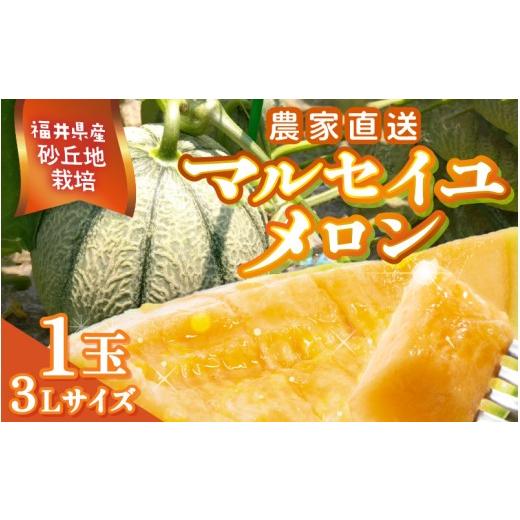 ふるさと納税 メロン メロン赤肉 福井県 坂井市 先行予約 農家直送 砂丘地栽培 赤肉メロン 福井県産 マルセイユメロン 3Lサイズ 1玉 2026年6月中旬以降順次発…