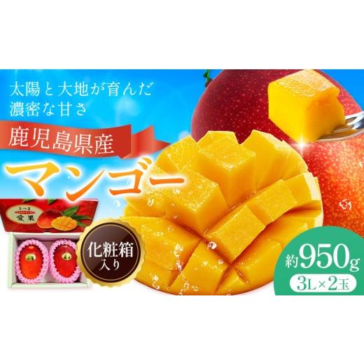 ふるさと納税 マンゴー 鹿児島県 さつま町 鹿児島県産 マンゴー 化粧箱入り 2玉 3L 約950g よしたか農園[5 月上旬‐5月下旬頃出荷]鹿児島県 さつま町 マンゴ…