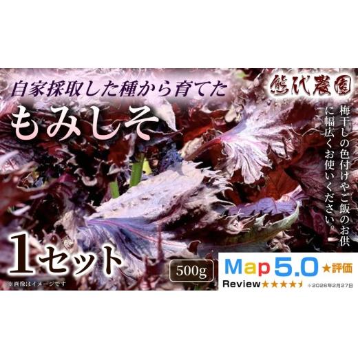 ふるさと納税 加工品等 奈良県 五條市 もみしそ 500g | 梅炭 パウダー 梅シソ 梅 ウメ うめ シソ しそ 紫蘇 有機 ふりかけ ごはん お供 トッピング お弁当 弁…