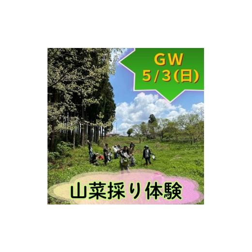 ふるさと納税 体験チケット 新潟県 関川村 R8年5月3日開催 今春こそ大自然の中で春の息吹を満喫したい 山菜を楽しむ会参加券(大人1名分) 1728036