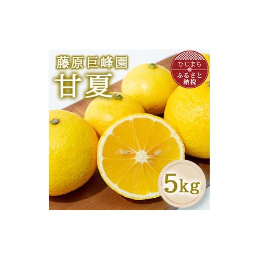 ふるさと納税 みかん・柑橘類 大分県 日出町 大分県日出町産 甘夏5kg 1727714
