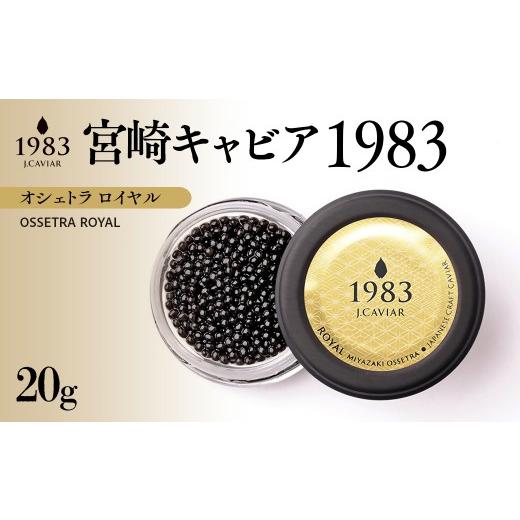 ふるさと納税 魚貝類 キャビア 宮崎県 西都市 宮崎キャビア MIYAZAKI CAVIAR1983オシェトラロイヤル 20g「国産」ジャパンキャビア 25-25a