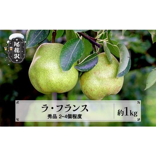 ふるさと納税 梨 山形県 尾花沢市 先行予約 ラ・フランス 秀品 約1kg(2~4個程度) 11月上旬~下旬頃発送 令和8年産 2026年産 sb-lasyx1-b 令和8年産
