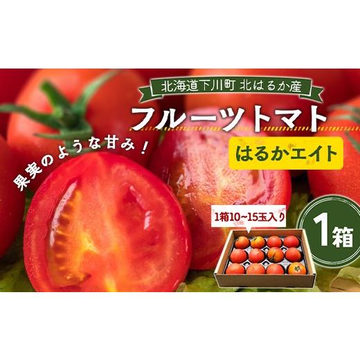 ふるさと納税 野菜類 トマト 北海道 下川町 先行予約 令和8年産 10〜15玉前後 糖度8.0度以上 北はるか産フルーツトマト はるかエイト 1箱 フルーツ トマト グ…