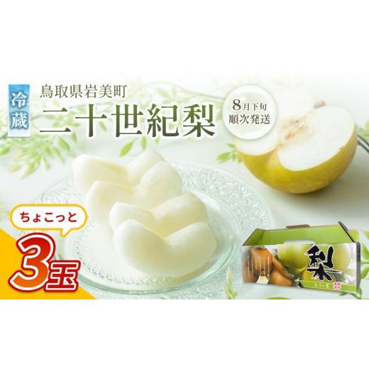 ふるさと納税 梨 鳥取県 岩美町 先行予約 中野農園 梨 "二十世紀梨" 3玉 冷蔵便発送|鳥取 岩美 梨 なし ナシ 20世紀梨 青梨 果物 フルーツ お届けは2026年…