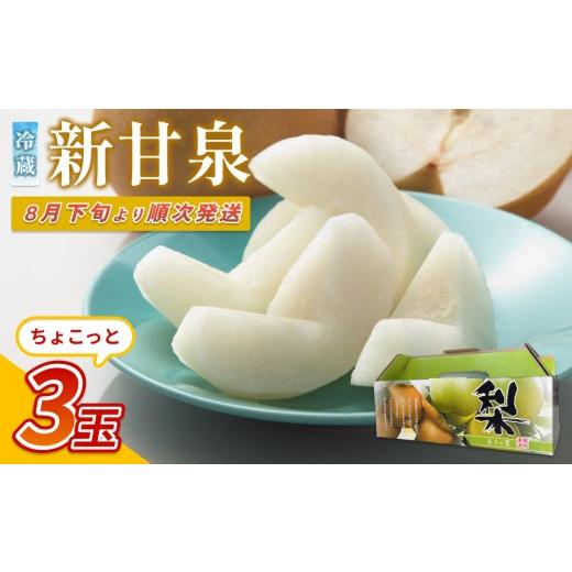 ふるさと納税 梨 鳥取県 岩美町 先行予約 中野農園 梨 "新甘泉" 3玉 冷蔵便発送|鳥取 岩美 梨 なし ナシ 赤梨 果物 フルーツ お届けは2026年8月下旬頃〜 4…