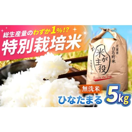 ふるさと納税 無洗米 佐賀県 白石町 11月以降順次発送 令和8年度産 無洗米 ひなたまる 5kg 定松ファーム