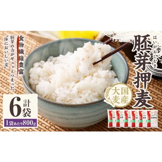 ふるさと納税 雑穀 山梨県 中央市 胚芽押麦 800g×6袋 押麦 雑穀 雑穀米 麦ごはん 常温保存 パックご飯 備蓄 混ぜるだけ 健康