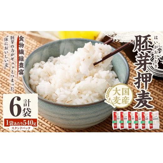 ふるさと納税 雑穀 山梨県 中央市 胚芽押麦 スタンドパック 540g×6袋 押麦 雑穀 雑穀米 麦ごはん 常温保存 パックご飯 備蓄 混ぜるだけ 健康