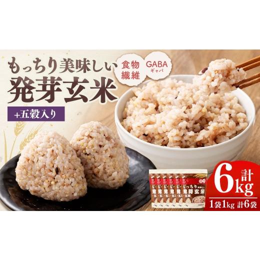 ふるさと納税 雑穀 山梨県 中央市 もっちり美味しい発芽玄米+五穀 1,000g×6袋 雑穀 雑穀米 コメ 米 国産 ご飯 ごはん 雑穀ごはん 五穀 発芽玄米