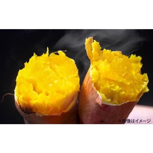 ふるさと納税 野菜類 サツマイモ 大分県 日田市 大分県産べにはるか「急速冷凍焼き芋」(約1.5kg) いも お芋 ほくほく さつまいも 日田市 ／ 有限会社丸記屋 A…の画像
