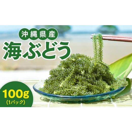 ふるさと納税 のり・海藻 沖縄県 南城市 沖縄県産 海ぶどう 100g(ご自宅用)|海ぶどう 新鮮 お取り寄せ グリーンキャビア 沖縄県 南城市 有限会社板馬養殖…