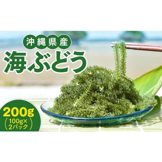 ふるさと納税 のり・海藻 沖縄県 南城市 沖縄県産 海ぶどう 100g× 2 パック(ご自宅用)|海ぶどう 新鮮 お取り寄せ グリーンキャビア 沖縄県 南城市 有限会…