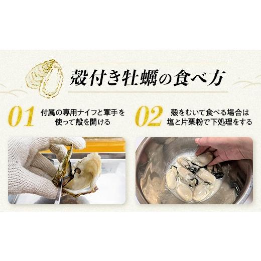 ふるさと納税 牡蠣 石川県 七尾市 能登半島地震復興支援 魚介類 牡蠣／能登かき　殻付牡蠣 一斗缶／約10kg（約80〜100個） 専用ナイフ 片手用軍手付 ／世界農…_3