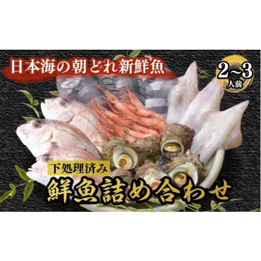 ふるさと納税 旬の鮮魚等 石川県 七尾市 海鮮鮮魚詰め合わせセット 能登の朝どれ「いきいき七尾魚」(2〜3人前)|海鮮 魚貝類 魚介類 魚 鮮魚 詰め合わせ セ…