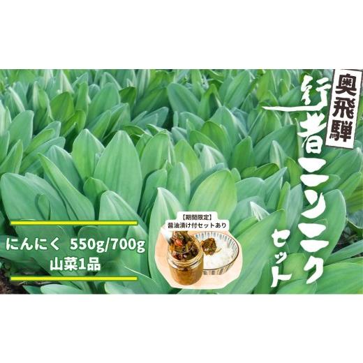 ふるさと納税 野菜類 山菜 岐阜県 飛騨市 [先行予約]選べる内容量 奥飛騨産とれたて新鮮 生行者ニンニク 700g , 山菜1品 , 行者ニンニク醤油漬け 行者ニンニ…