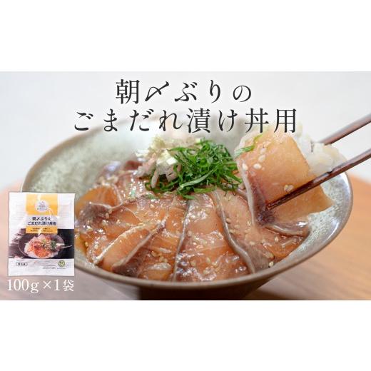 ふるさと納税 魚貝類 高知県 大月町 朝〆ぶり ごまだれ漬け丼用 100g×1袋 養殖 ブリ 鰤 海鮮 小分け 冷凍 簡単調理 新鮮 海鮮丼 家庭用 晩酌 高知県産 産地直…