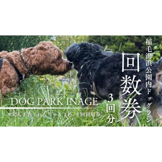 ふるさと納税 イベントやチケット等 千葉県 千葉市 稲毛海浜公園ドッグラン回数券(3回分/15キロ以下対象) チケット 利用券 回数券 ペット 犬 ドッグラン DO…