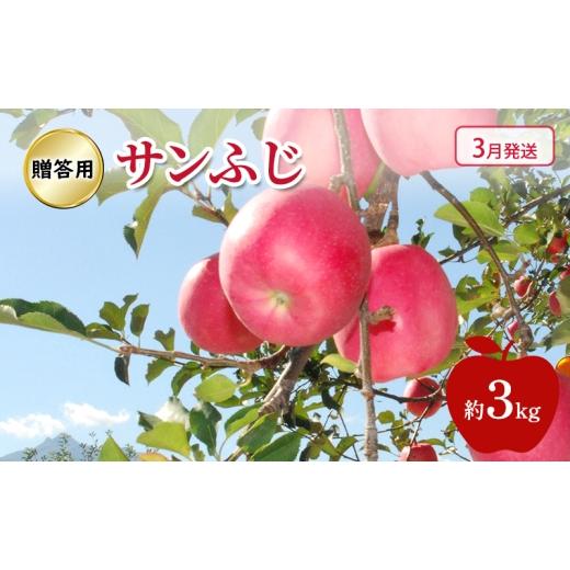 ふるさと納税 りんご 青森県 鶴田町   りんご 3月発送 贈答用 サンふじ 約 3kg