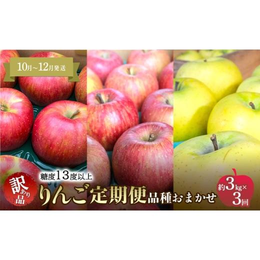 ふるさと納税 りんご 青森県 鶴田町   10月〜12月発送 りんご定期便 糖度13度以上家庭用訳あり りんご 約3kg × 3回 家庭用訳ありコース 青森りん…