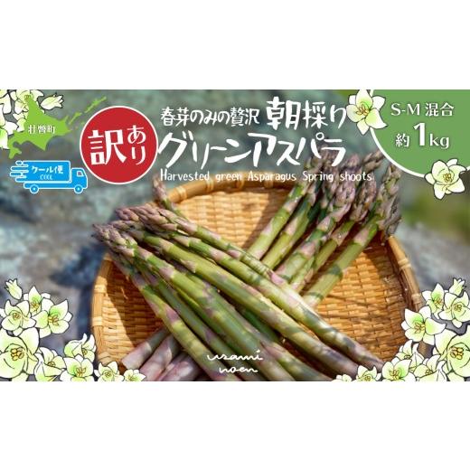 ふるさと納税 野菜類 アスパラガス 北海道 壮瞥町 2026年予約 訳あり 朝採りグリーンアスパラ(春芽)S-M混合 約1kg 北海道壮瞥町産 ふるさと納税 人気 おす…