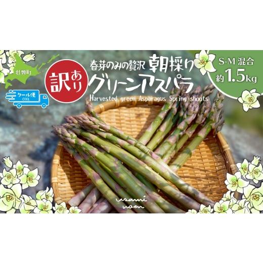 ふるさと納税 野菜類 アスパラガス 北海道 壮瞥町 2026年予約 訳あり 朝採りグリーンアスパラ(春芽)S-M混合 約1.5kg 北海道壮瞥町産 ふるさと納税 人気 お…