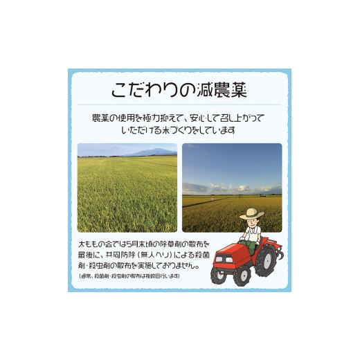 ふるさと納税 玄米 山形県 酒田市 5月中旬配送／令和7年産 玄米 特別栽培米 つや姫 30kg×1袋〈太ももの会〉 FU SG0129 令和8年5月中旬配送の画像