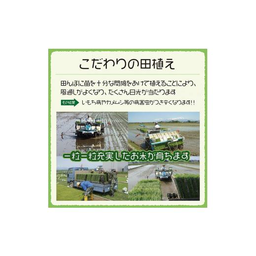 ふるさと納税 玄米 山形県 酒田市 6月中旬配送／令和7年産 玄米 特別栽培米 つや姫 30kg×1袋〈太ももの会〉 FU SG0132 令和8年6月中旬配送の画像