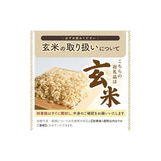 ふるさと納税 玄米 山形県 酒田市 6月中旬配送／令和7年産 玄米 特別栽培米 つや姫 30kg×1袋〈太ももの会〉 FU SG0132 令和8年6月中旬配送の画像