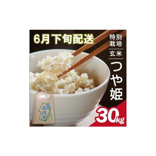 ふるさと納税 玄米 山形県 酒田市 6月下旬配送／令和7年産 玄米 特別栽培米 つや姫 30kg×1袋〈太ももの会〉 FU SG0133 令和8年6月下旬配送の画像