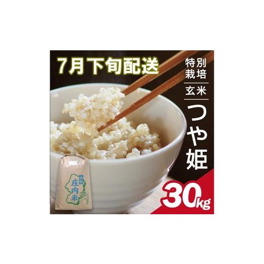 ふるさと納税 玄米 山形県 酒田市 7月下旬配送／令和7年産 玄米 特別栽培米 つや姫 30kg×1袋〈太ももの会〉 FU SG0136 令和8年7月下旬配送の画像