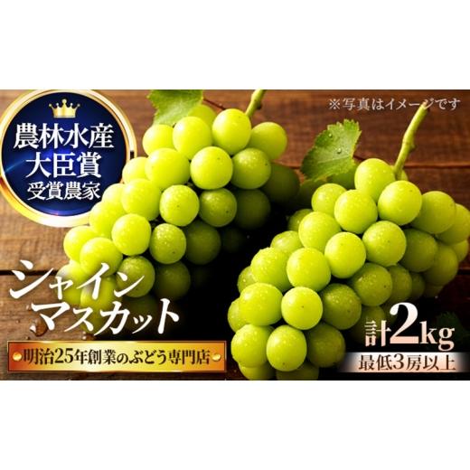 ふるさと納税 ぶどう マスカット 大阪府 柏原市 直売所限定販売の数量限定シャインマスカット 2.0サイズ 7月下旬〜8月上旬発送