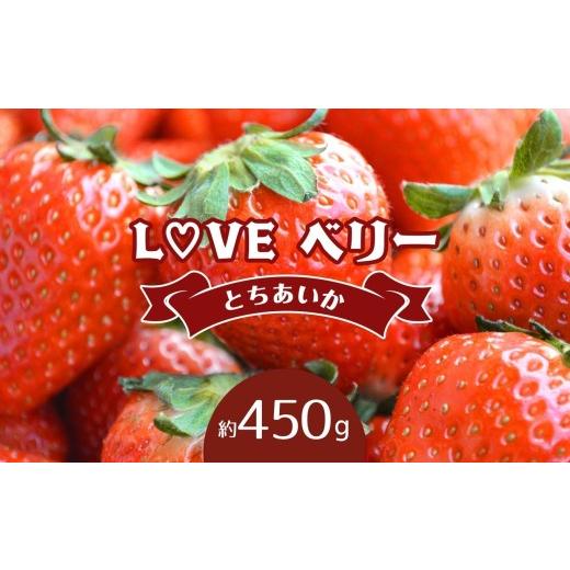 ふるさと納税 いちご 栃木県 真岡市 2027年 先行予約受付中 ?LOVE ベリー とちあいか 450g 450g | 9,000円